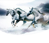 省内排行前十，，设计、施工实力排前